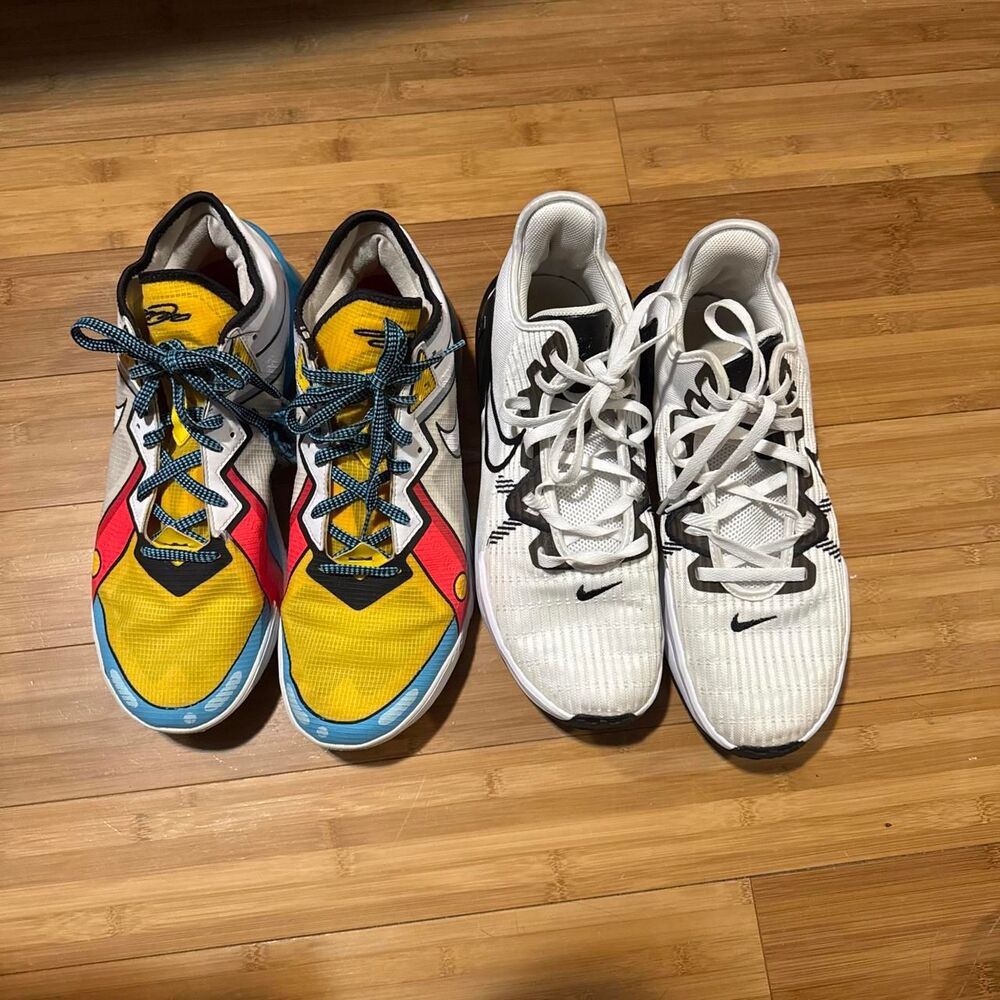 Nike Men's multi Courts